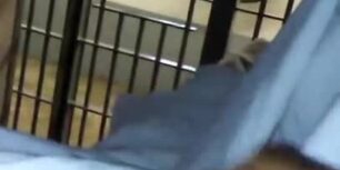 Horny black thug masturbates in jail