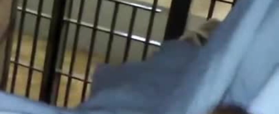 Horny black thug masturbates in jail