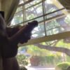 Masturbating in front of the window