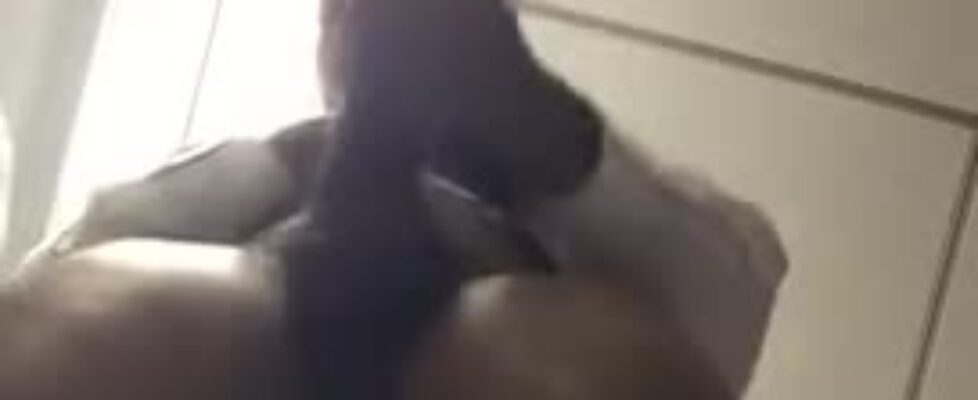 Horny black shows off his huge donkey cock in front of a bathroom mirror