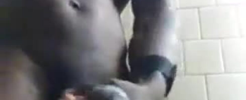 Young black african dude showing off his huge thick meaty cock