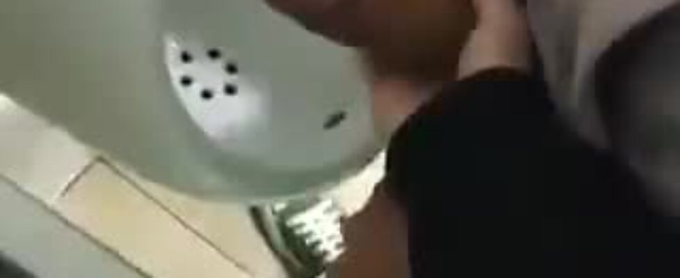 Watching a delicious cock as he masturbates in the public bathroom