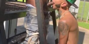Two young skaters fucking in the park