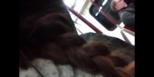 Caught a mature guy masturbating in the subway on my way home