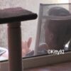 Spying on my neighbor masturbating in the backyard
